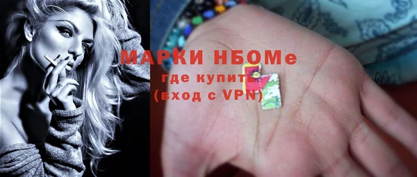 стаф Дмитров