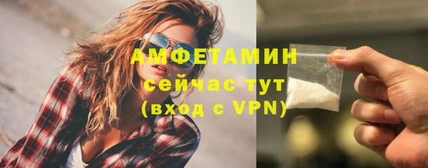 стаф Дмитров