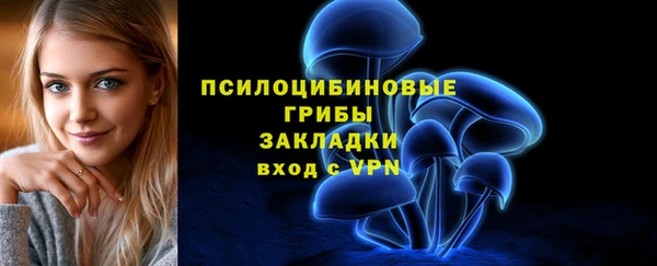 стаф Дмитров