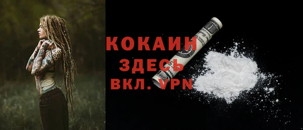 первитин Дмитриев
