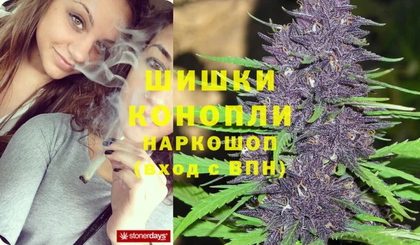 первитин Дмитриев