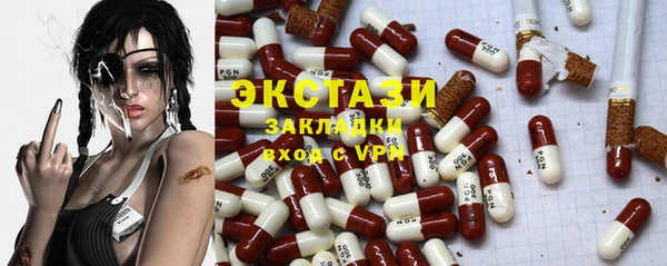 стаф Дмитров