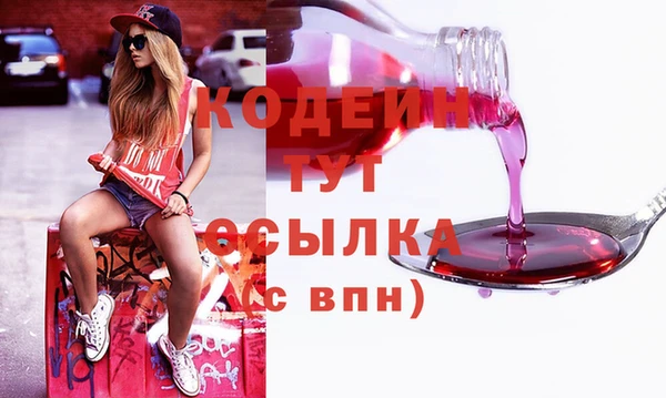 стаф Дмитров