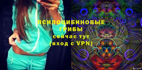 стаф Дмитров