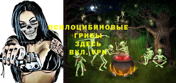 мдпв Дмитровск