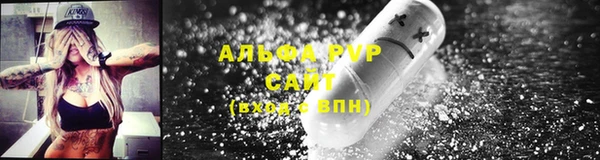 стаф Дмитров