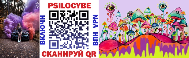 купить наркотики цена  Звенигово  Псилоцибиновые грибы MAGIC MUSHROOMS 